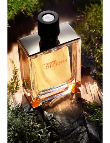 Hermes Terre D'Hermes  (М) 100 мл